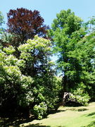 Parc oriental
