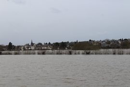 La Maine en crue à Bouchemaine