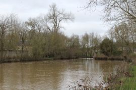 Concoursonsurlayon layon 2020 7910.JPG