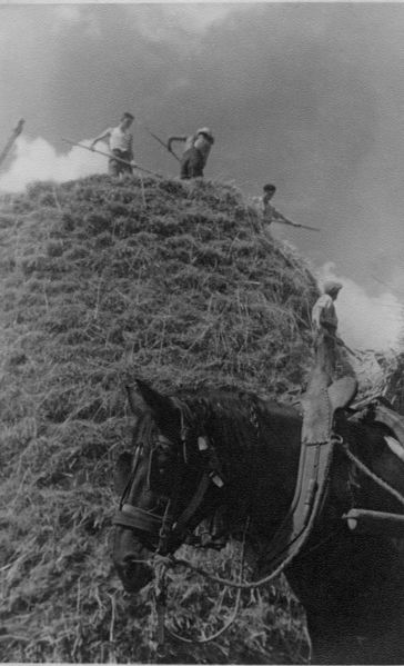 Fichier:Chapellesaintlaud meule de foin 1944a.jpg