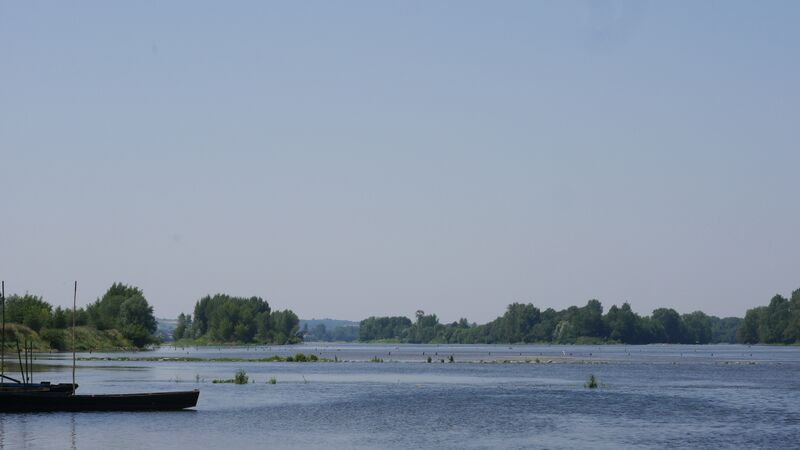 Fichier:Denee jubeaux loire 2019.jpg