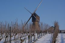 Photographie du moulin à vent de la Pinsonnerie.