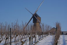 Photographie représentant le moulin à vent de la Pinsonnerie