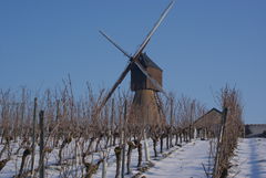 Photographie représentant le moulin à vent de la Pinsonnerie