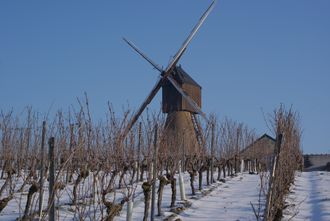 Photographie du moulin.