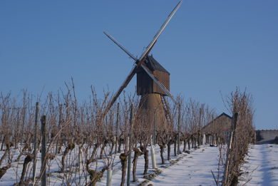 Photographie du moulin.