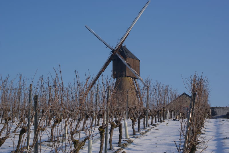 Fichier:Faye-d'Anjou moulin de la Pinsonnerie.jpg