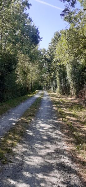 Fichier:Vallee rochefort r20-11.jpg