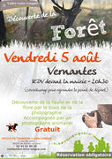 Affiche vernantes sortie foret 2016.jpg