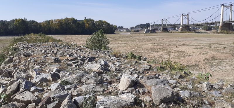 Fichier:Loire montjean 2022 5326.jpg