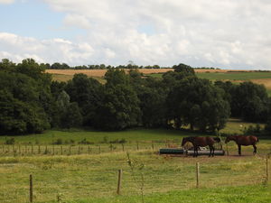Photographie de la campagne environnante.