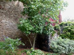 Détail de l'appareil.