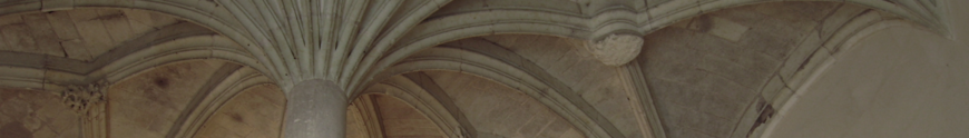 Photographie de voûtes du château de Baugé