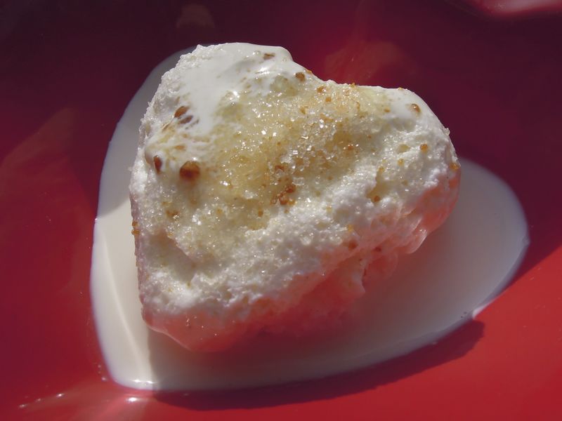 Fichier:Crêmet d'Anjou traditionnel 2012a.jpg