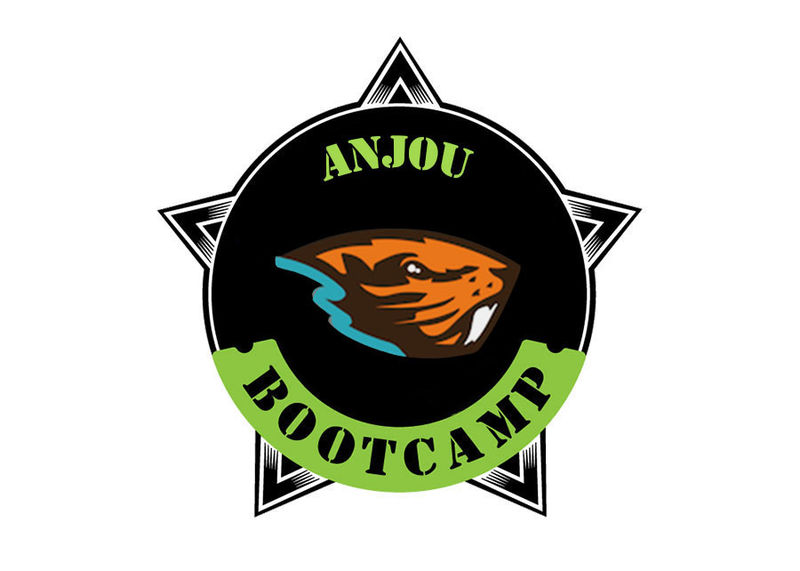 Fichier:Anjoubootcamp logo.jpg