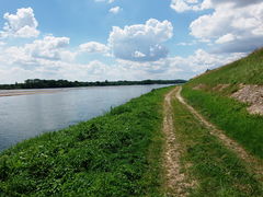 Loire saintmathurinsurloire levee 2014a.jpg