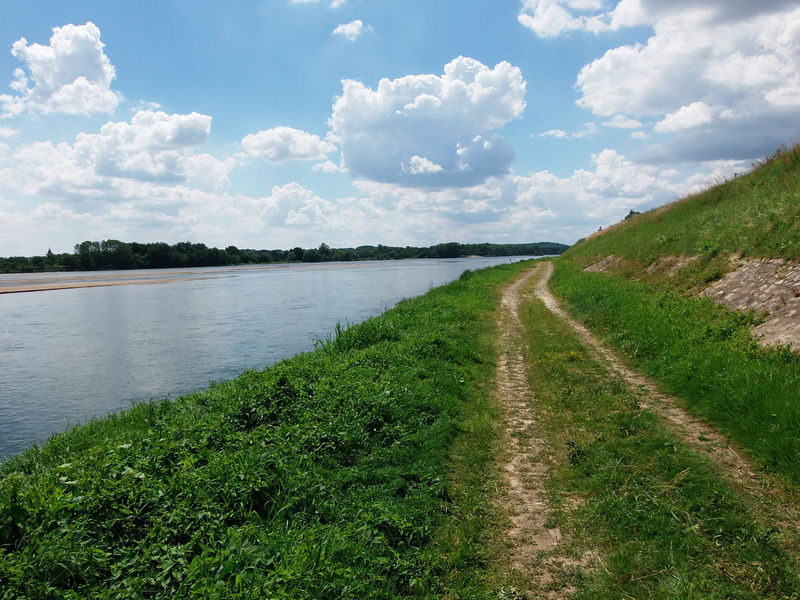 Fichier:Loire saintmathurinsurloire levee 2014a.jpg