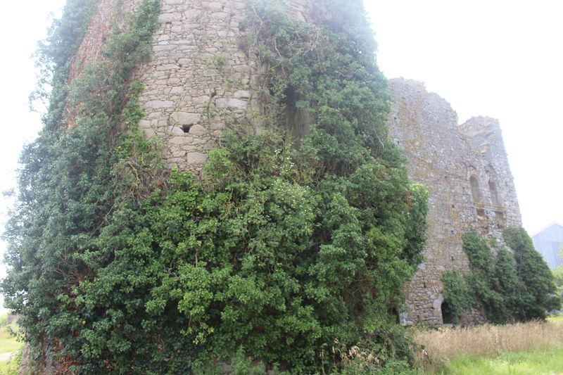 Fichier:Le longeron château de la Gimonière-2021-9351.JPG