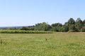 Rochefort sur loire 2021-9419.JPG