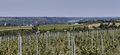 Vallee loire rochefort r20-40.jpg