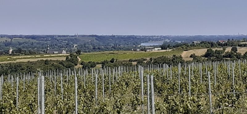 Fichier:Vallee loire rochefort r20-40.jpg