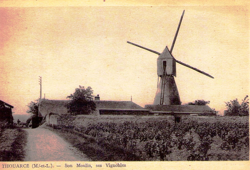 Fichier:Thouarcé Son moulin ses vignobles.jpg