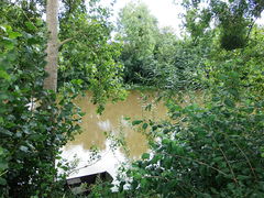 Rochefortsurloire louet -2014a.jpg