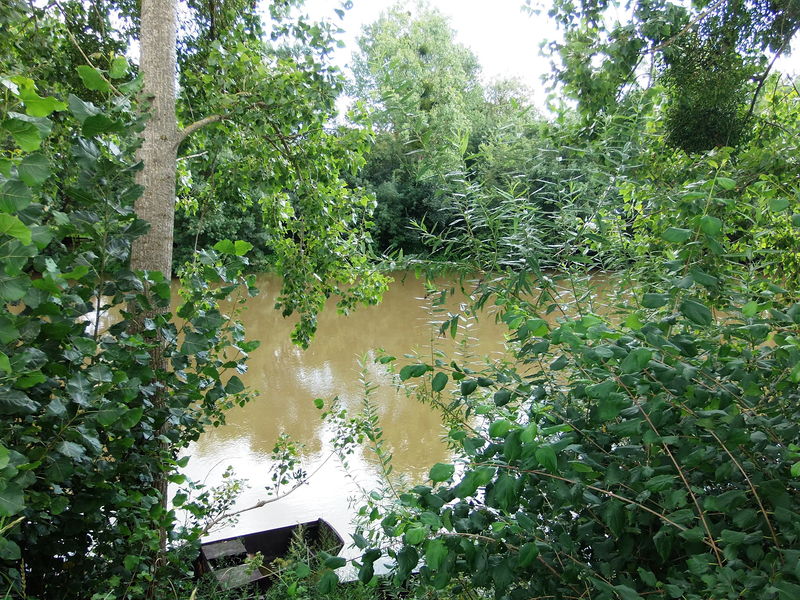 Fichier:Rochefortsurloire louet -2014a.jpg