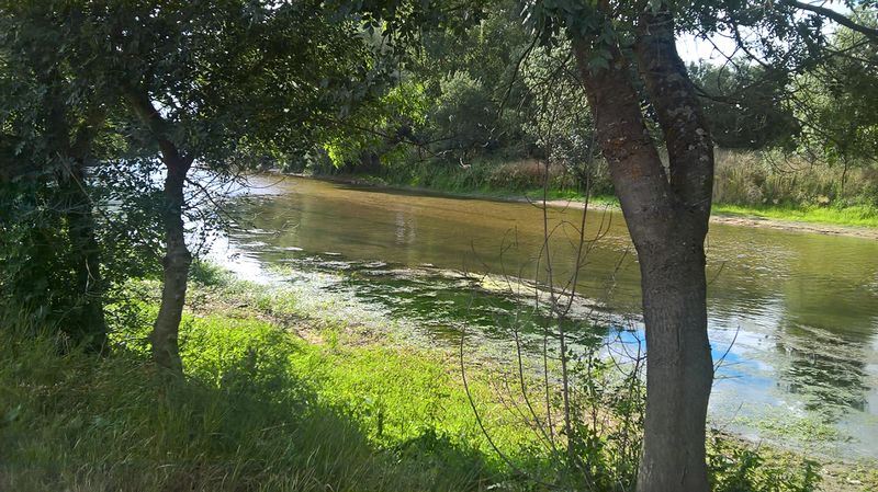 Fichier:Saintaubindeluigne port paty 2017 4149.jpg