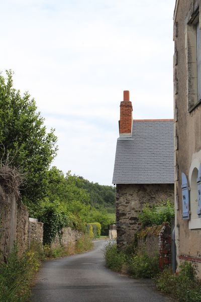 Fichier:Saintaubindeluigne 2019 5921.jpg