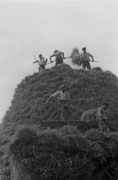 Fichier:Chapellesaintlaud meule de foin 1944b.jpg