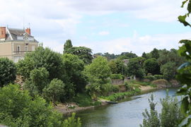 Photographie de bords de Louet.