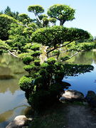 Maulevrier parc oriental -2015aa.JPG