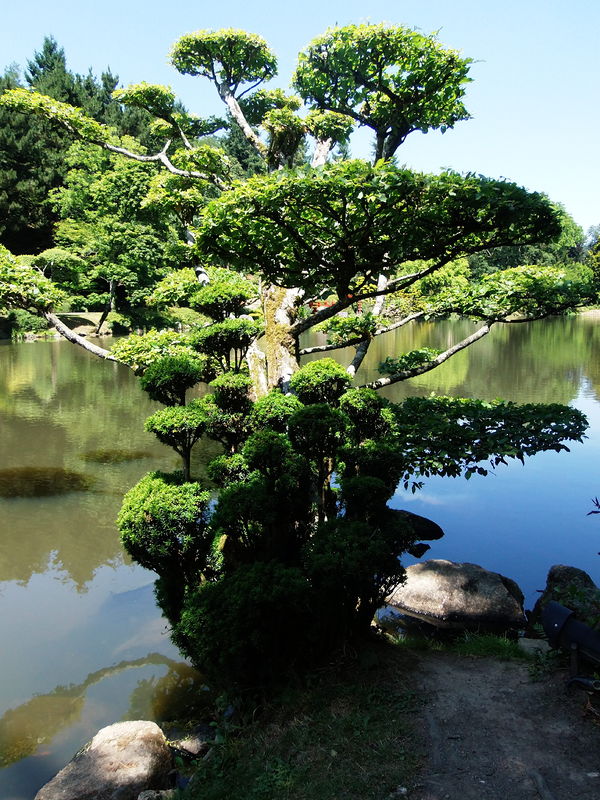 Photographie Parc oriental de Maulévrier.