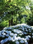 Parc oriental