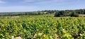 Coteau rochefort r20-37.jpg