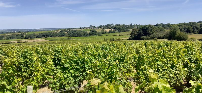 Fichier:Coteau rochefort r20-37.jpg