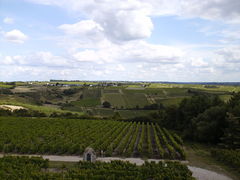 Saintaubindeluigne coteaux-2008a.jpg