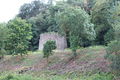 Montjean-sur-Loire bords de la Loire - 2017 1872.JPG