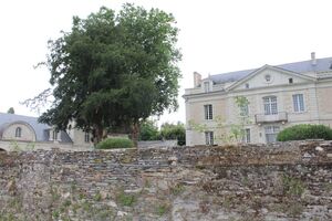 Photographie du château.