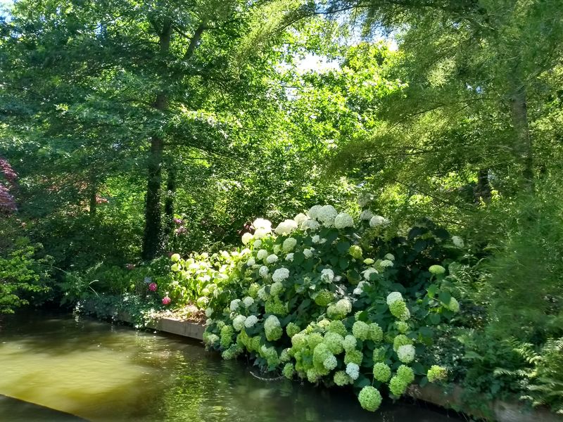 Fichier:Terrabotanica 2020 130753855.jpg