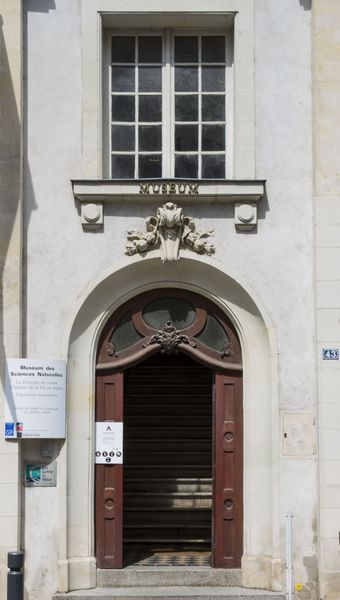 Fichier:Museum Angers Entree2.jpg