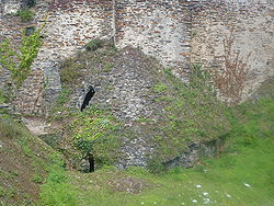 Photographie du mineau du château.