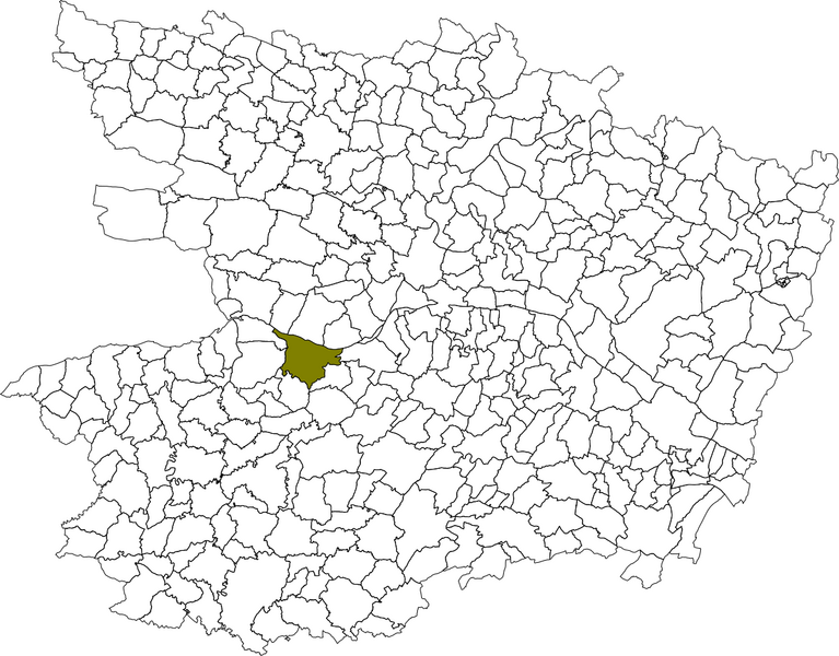 Fichier:Carte situation commune chalonnessurloire.png