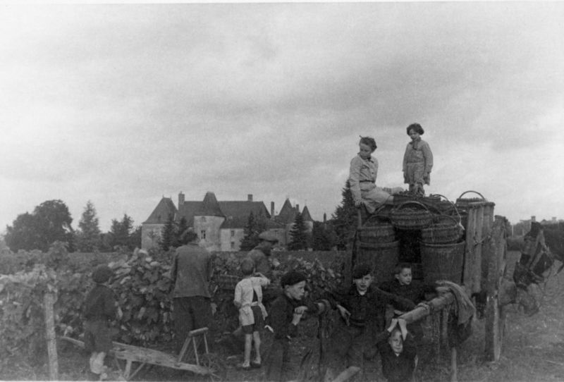 Fichier:Chapellesaintlaud vendanges 1944.jpg