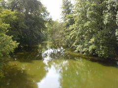 La rivière du Layon à Saint-Aubin. Plus de photos…