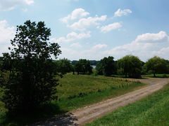 Loire saintmathurinsurloire levee 2014c.jpg