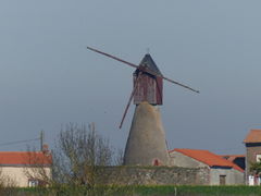 Photographie du moulin-cavier du Gué-Robert (Valanjou).