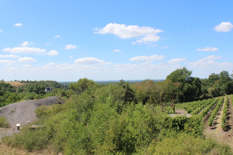 Fichier:Chaudefondssurlayon mine des malecots 2017 2302.JPG