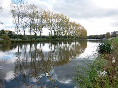 Oudon liondangers 2013-4.jpg